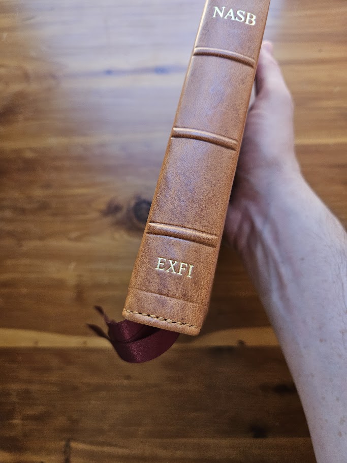 Minimal EXFI Branding